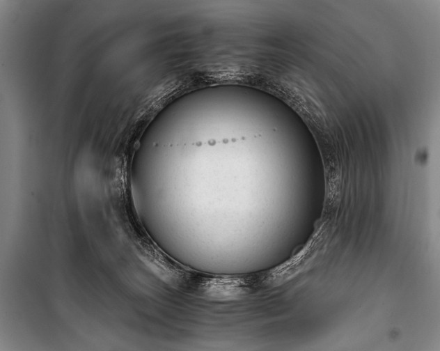 X0000100930179200807011230