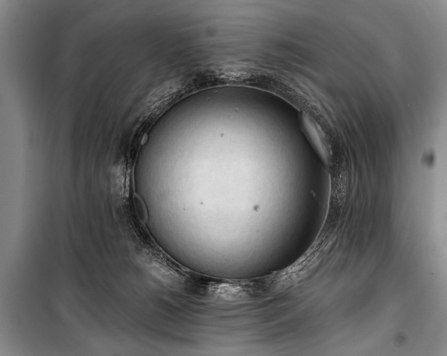 X0000100930180200807011230