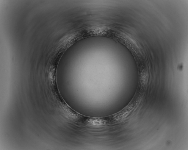 X0000100930181200807011230