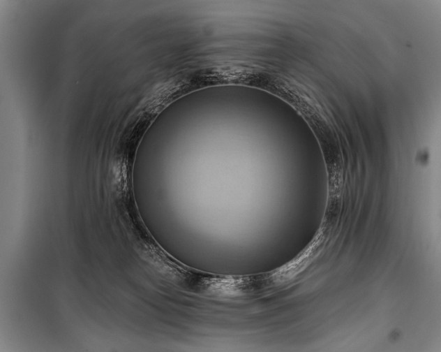 X0000100930182200807011230