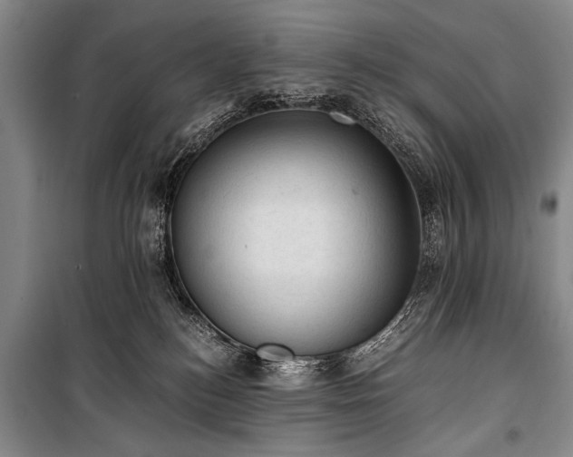 X0000100930184200807011230