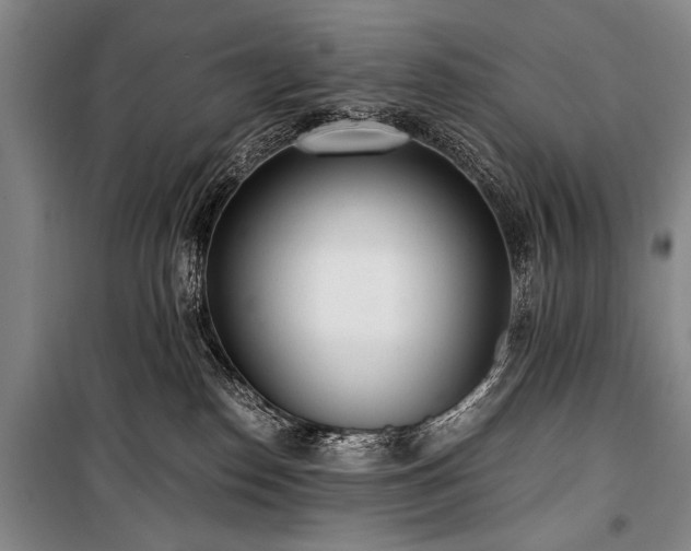 X0000100930186200807011230