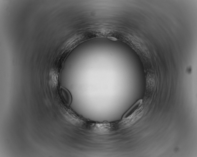 X0000100930188200807011230