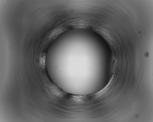 X0000100930190200807011230