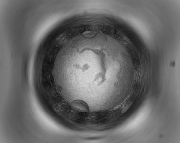 X0000100930191200807011230