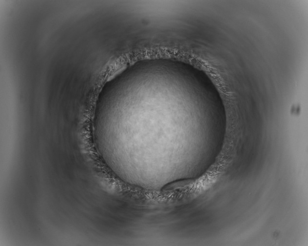 X0000100930192200807011230