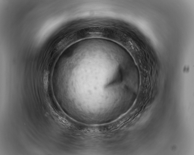 X0000100930194200807011229