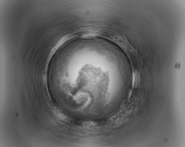 X0000100930195200807011229