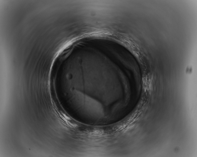 X0000100930196200807011229