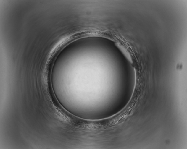 X0000100930197200807011229