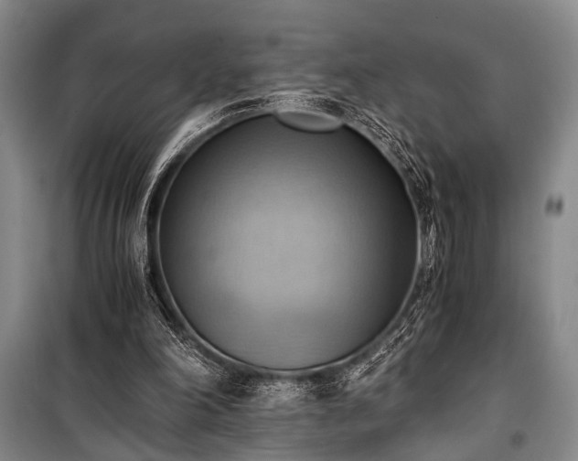 X0000100930198200807011229