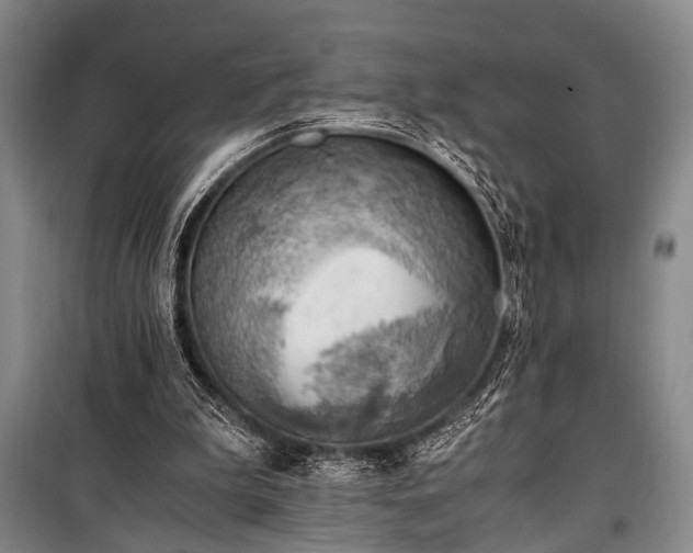 X0000100930199200807011229