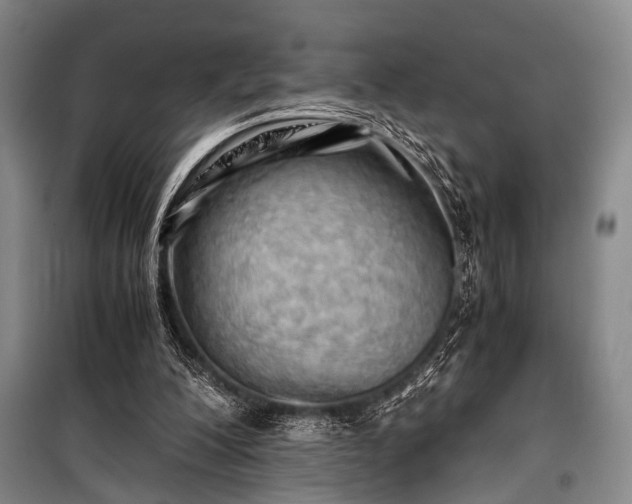 X0000100930200200807011229