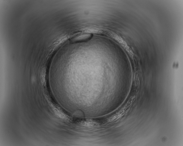 X0000100930201200807011229