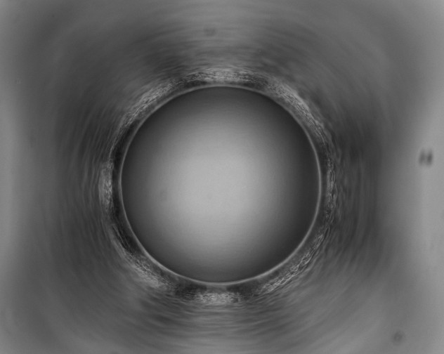 X0000100930202200807011229