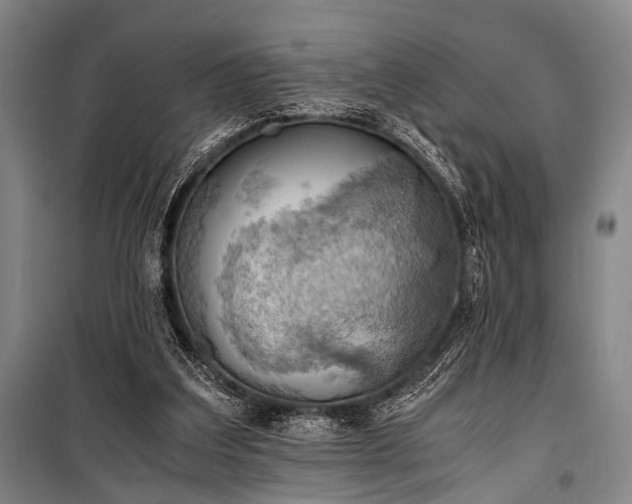 X0000100930203200807011229