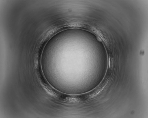 X0000100930205200807011229