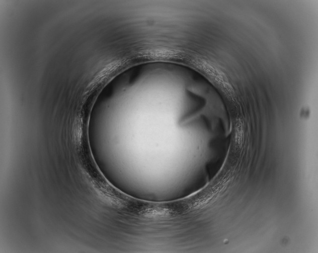 X0000100930206200807011229