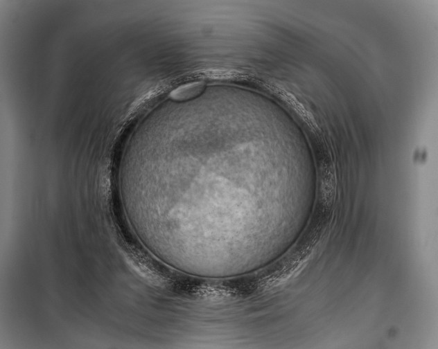 X0000100930207200807011229