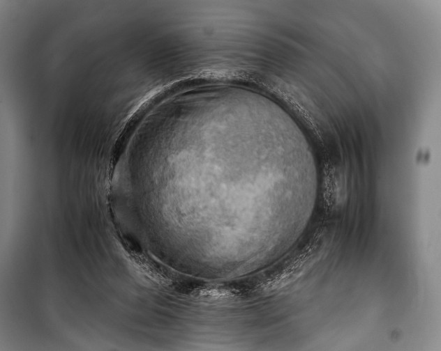 X0000100930208200807011229