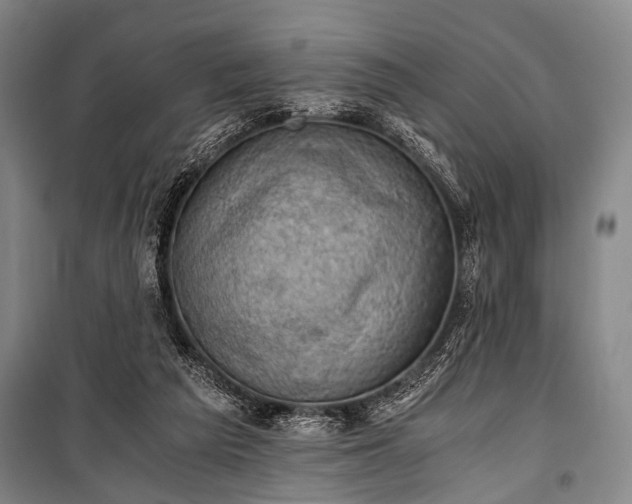 X0000100930209200807011229