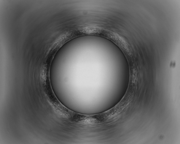 X0000100930210200807011229