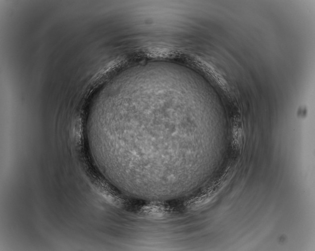 X0000100930211200807011229