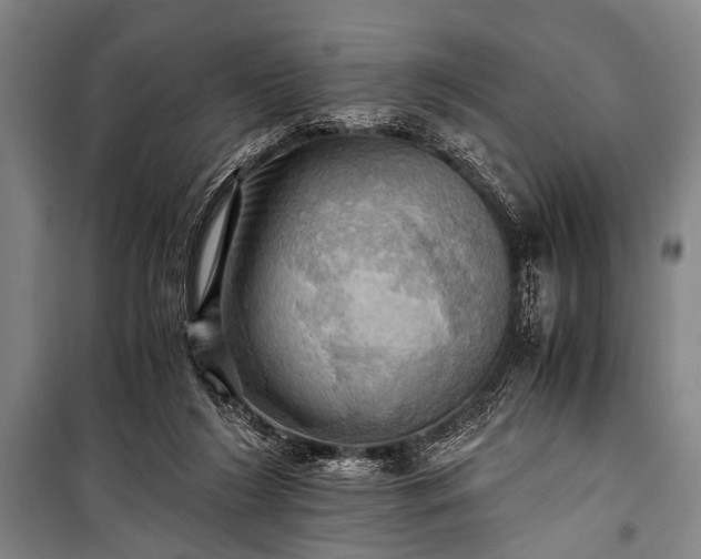 X0000100930212200807011229