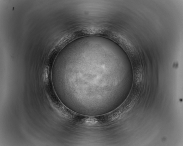 X0000100930214200807011229