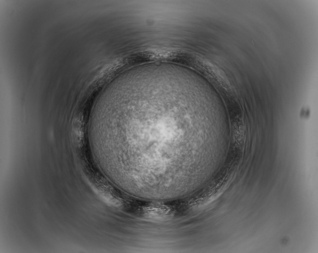 X0000100930215200807011229