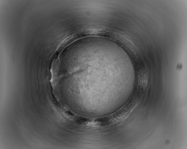 X0000100930216200807011229