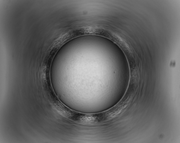 X0000100930217200807011229