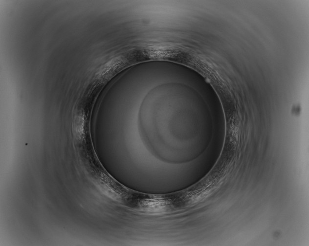 X0000100930219200807011229