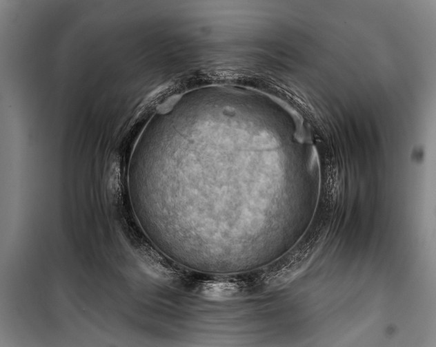 X0000100930220200807011229