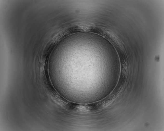 X0000100930221200807011229