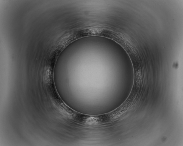 X0000100930222200807011229