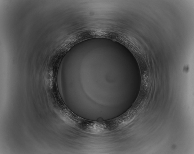 X0000100930223200807011229