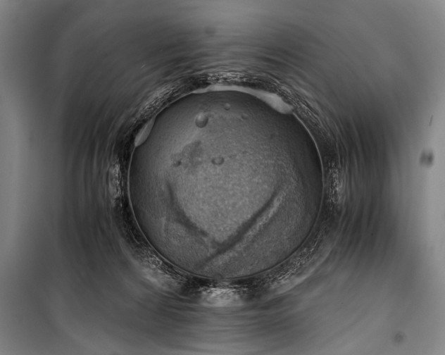 X0000100930224200807011229