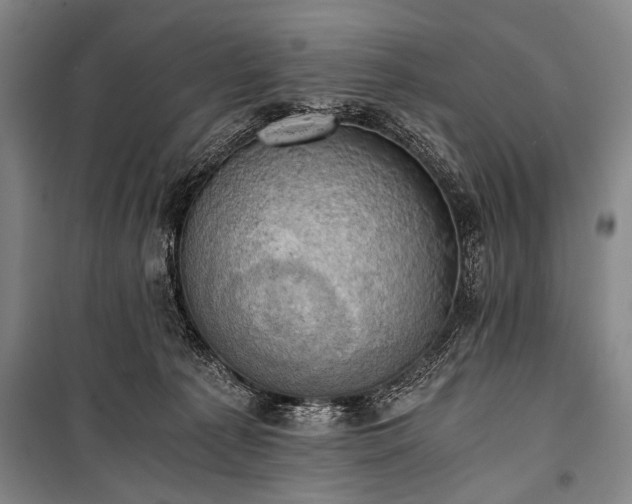 X0000100930225200807011229