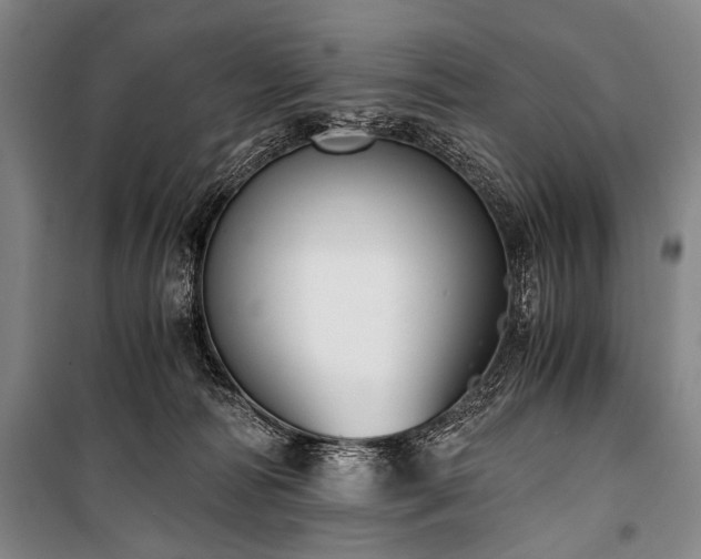 X0000100930226200807011229