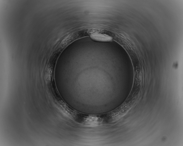 X0000100930227200807011229