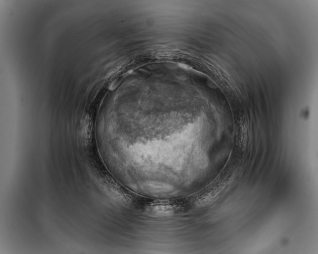 X0000100930228200807011229