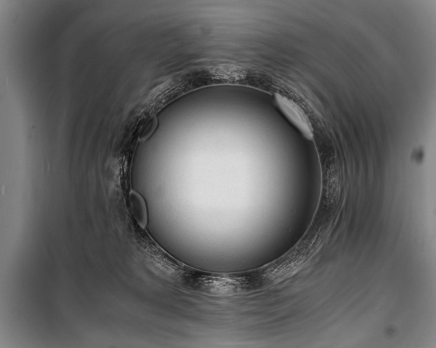 X0000100930229200807011229