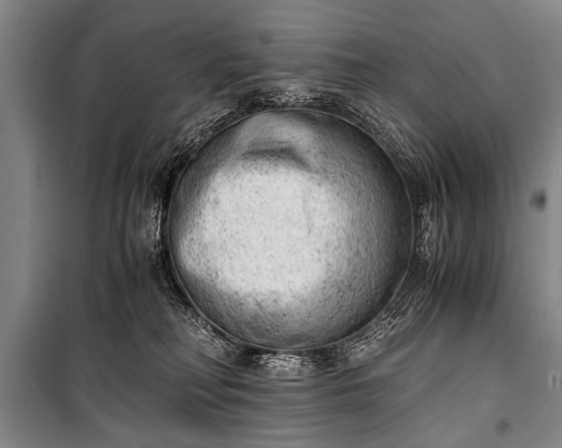 X0000100930230200807011229