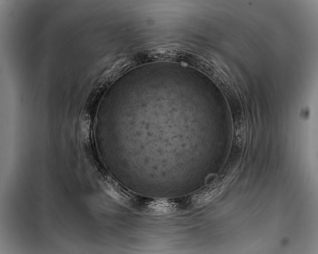 X0000100930231200807011229