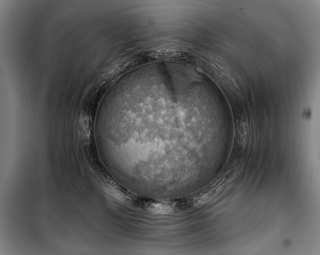 X0000100930232200807011229