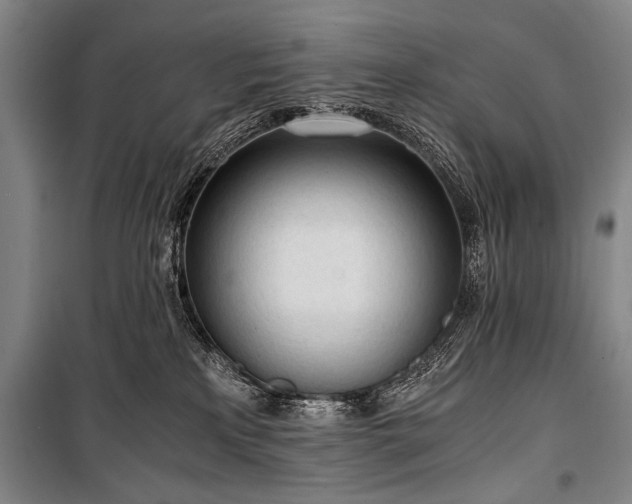 X0000100930233200807011229