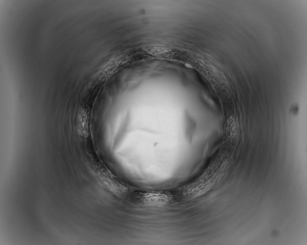 X0000100930234200807011229