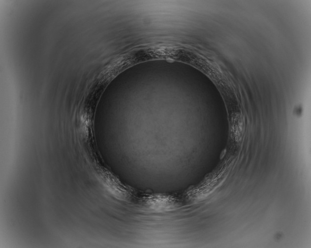 X0000100930235200807011229