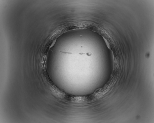 X0000100930237200807011229